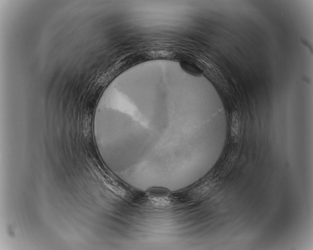 X0000100330409200806261307