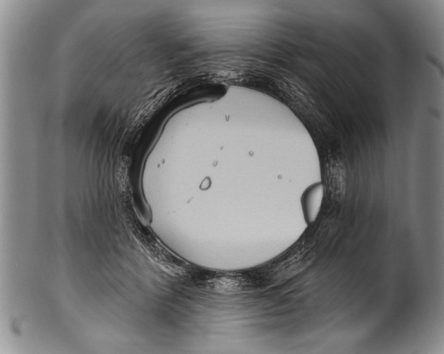 X0000100330412200806261307