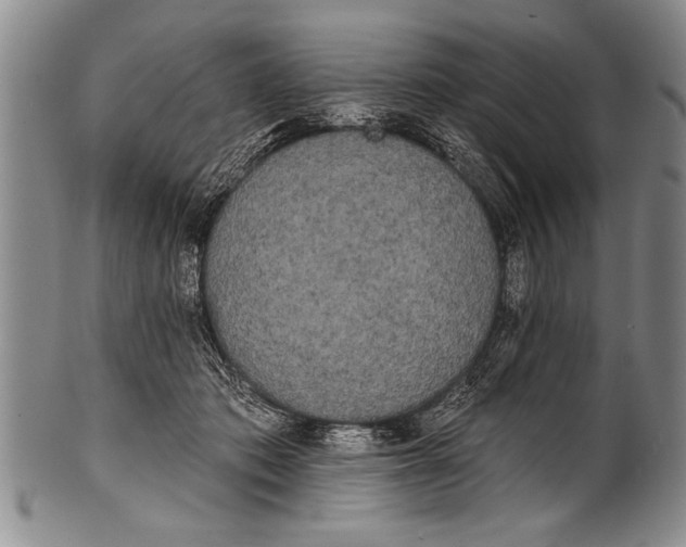 X0000100330413200806261307