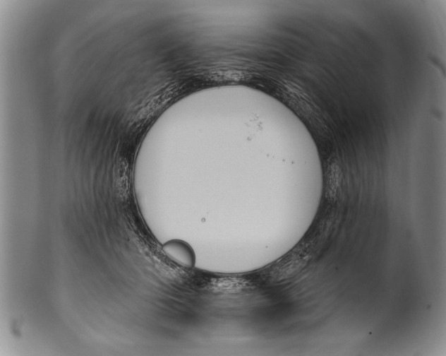 X0000100330414200806261307