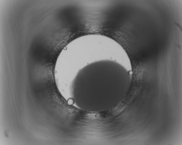 X0000100330415200806261307