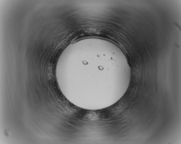 X0000100330416200806261307