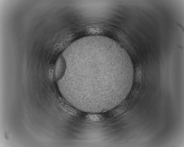 X0000100330417200806261307