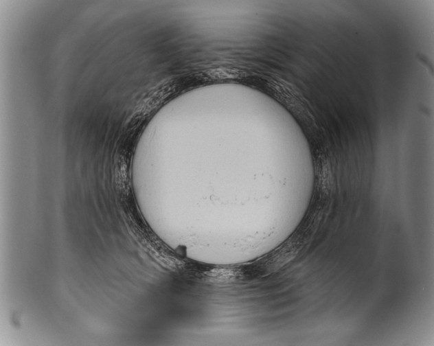 X0000100330418200806261307