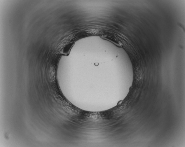 X0000100330420200806261307