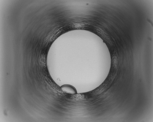 X0000100330421200806261307