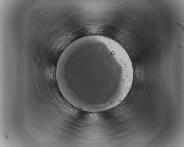 X0000100330423200806261307