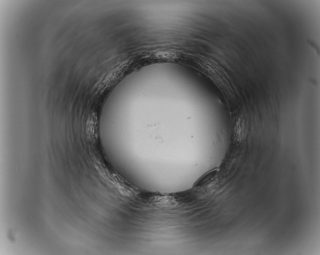 X0000100330424200806261307