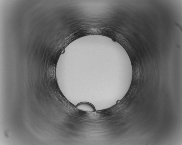 X0000100330425200806261306