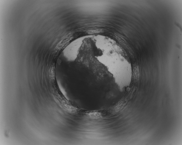 X0000100330426200806261306