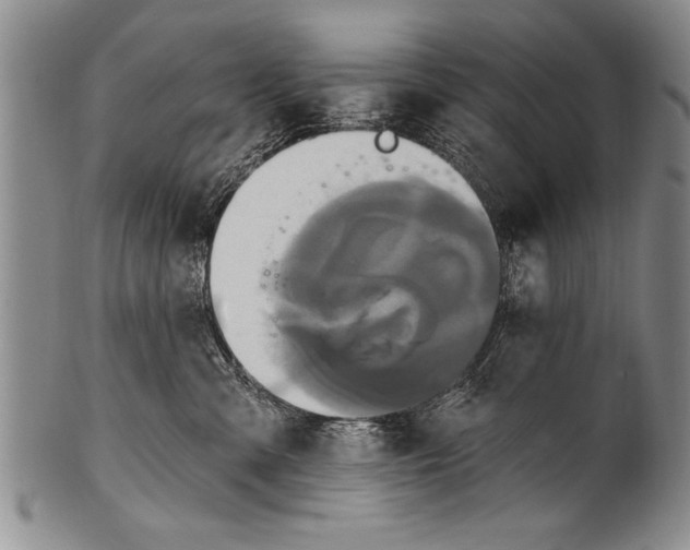 X0000100330427200806261306