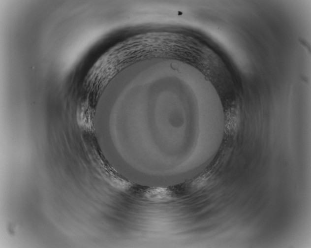 X0000100330431200806261306