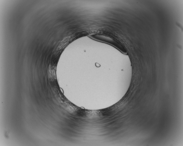 X0000100330432200806261306