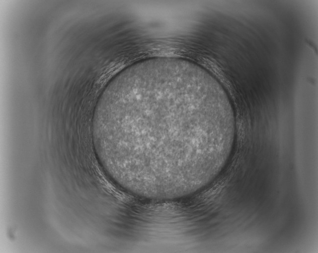 X0000100330433200806261306