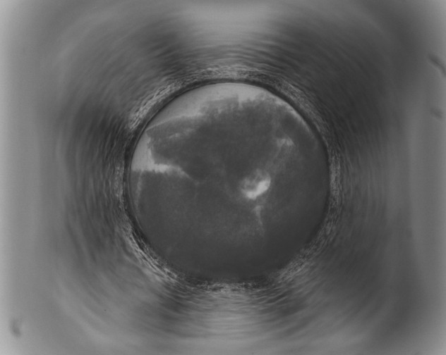 X0000100330434200806261306