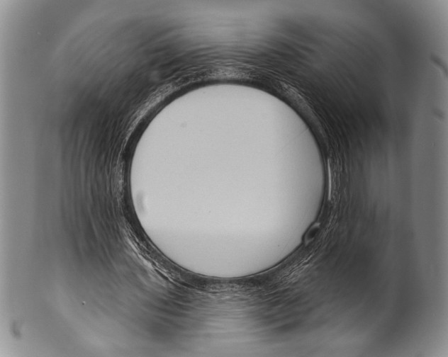 X0000100330435200806261306