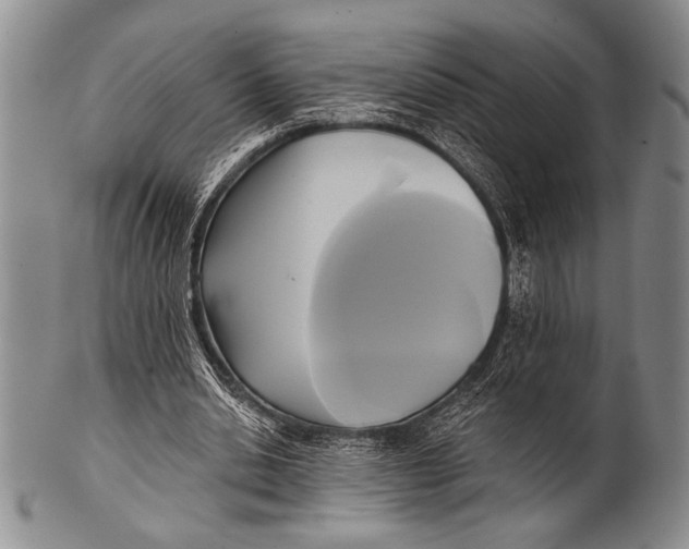 X0000100330438200806261306