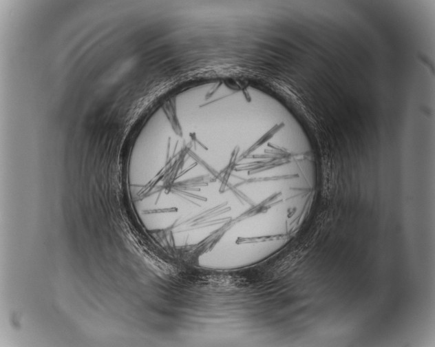 X0000100330439200806261306