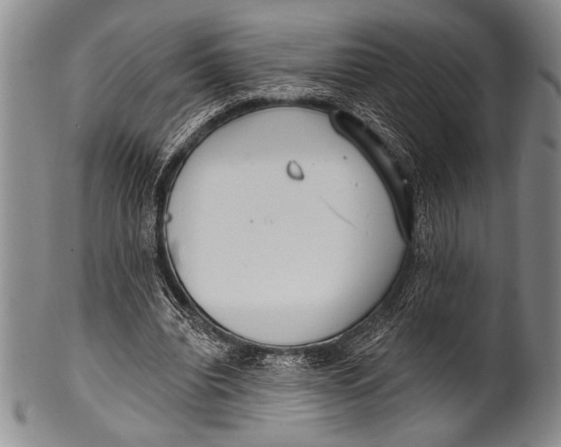 X0000100330440200806261306