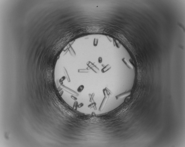 X0000100330441200806261306