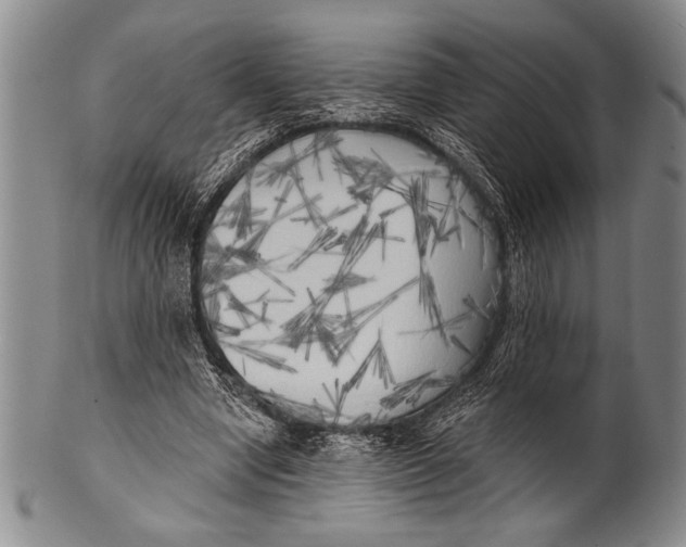 X0000100330442200806261306