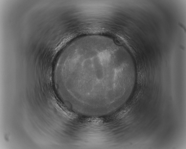 X0000100330443200806261306