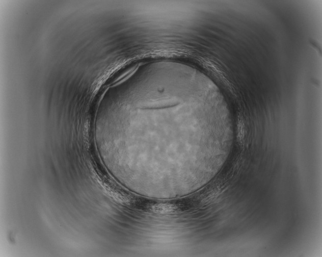 X0000100330444200806261306