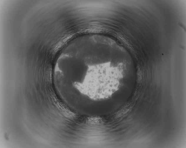 X0000100330446200806261306