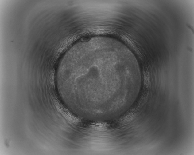 X0000100330447200806261306