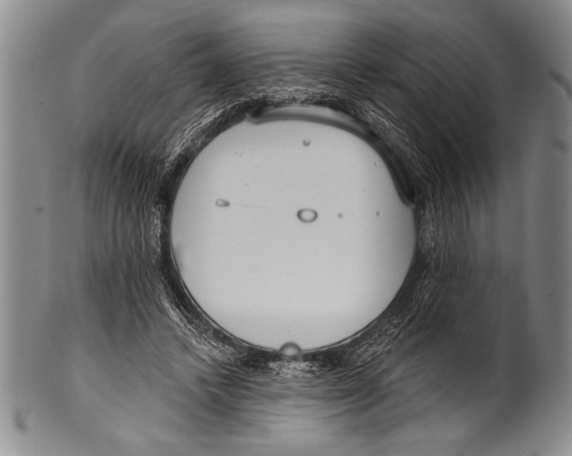 X0000100330448200806261306