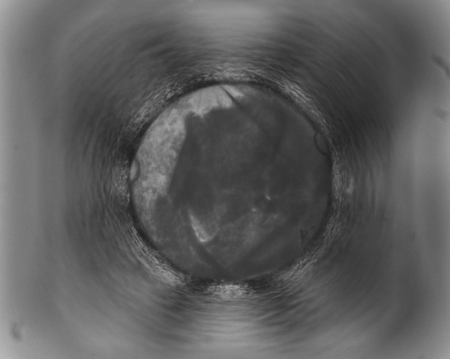 X0000100330449200806261306