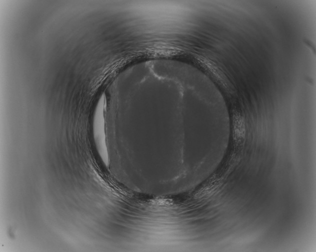 X0000100330451200806261306