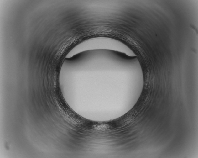 X0000100330452200806261306