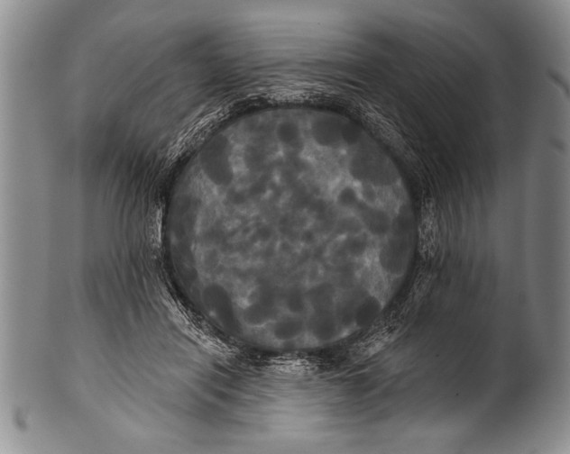 X0000100330454200806261306