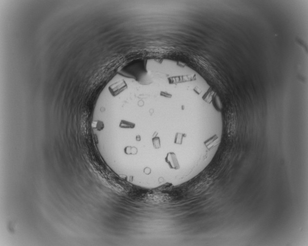 X0000100330455200806261306