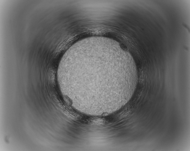 X0000100330456200806261306