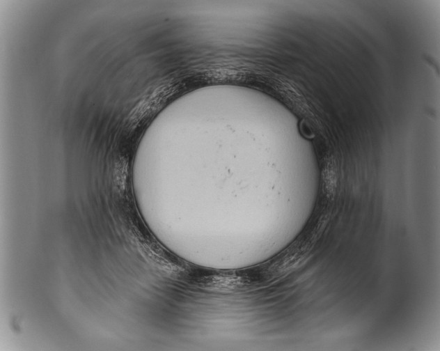 X0000100330458200806261306