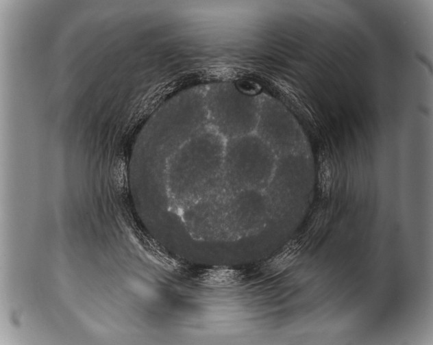 X0000100330459200806261306