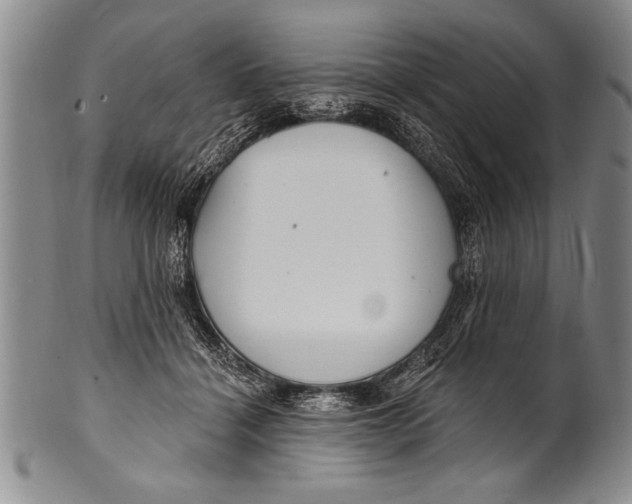 X0000100330460200806261306