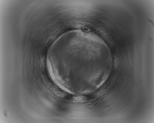 X0000100330461200806261306