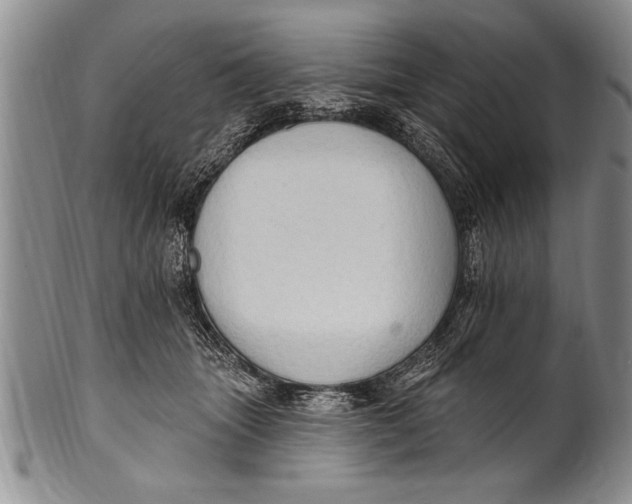 X0000100330463200806261306