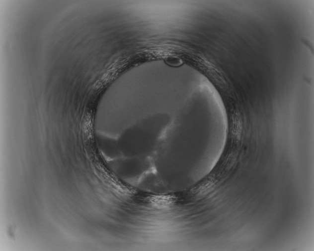 X0000100330465200806261306