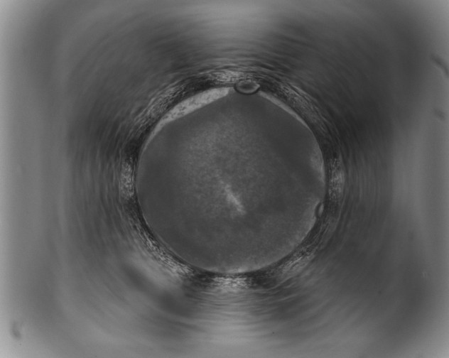 X0000100330469200806261306