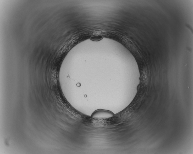 X0000100330470200806261306