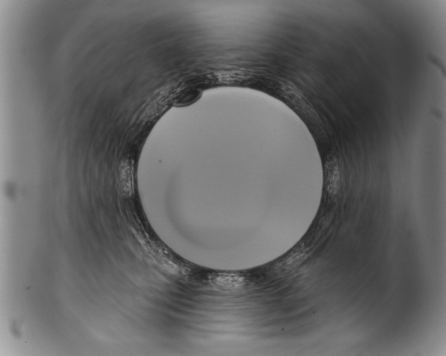 X0000100330471200806261306