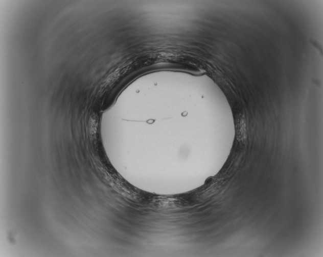 X0000100330472200806261306