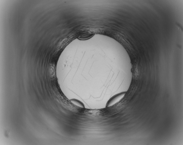 X0000100330478200806261306