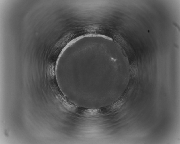 X0000100330479200806261306