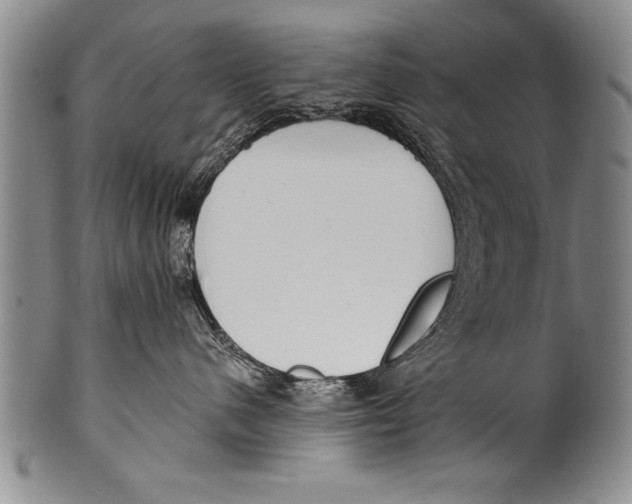 X0000100330480200806261306