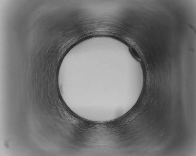 X0000100330481200806261306